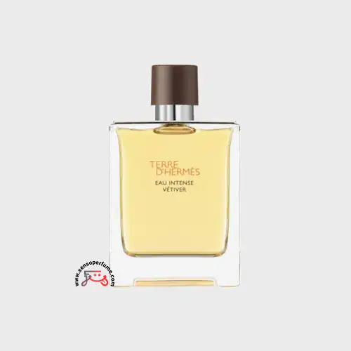 عطر ادکلن هرمس تق هرمس او اینتنس وتیور